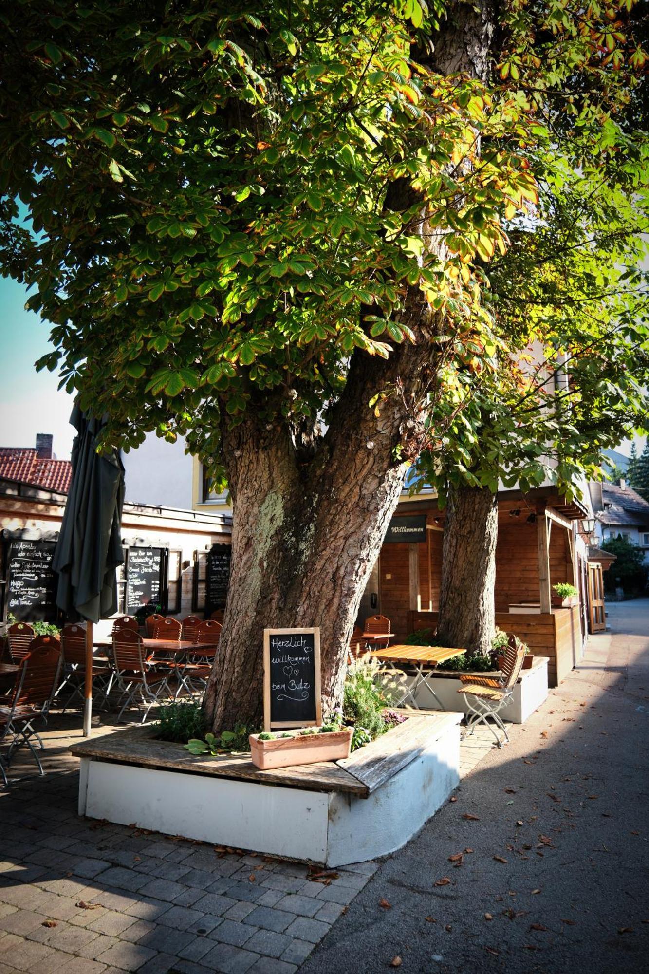 "Beim Butz" Hotel Worth an der Donau Exterior foto